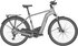 matt titanium silver