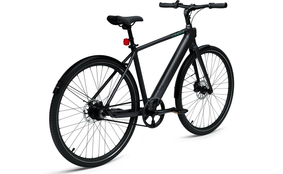 TENWAYS CGO600 Pro - 360 Wh - 28 Zoll - Diamant - 2026