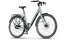 REANY V1 Vivo+ - 360 Wh - 28 Zoll - Tiefeinsteiger - 2026