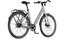 REANY V1 Vivo+ - 360 Wh - 28 Zoll - Tiefeinsteiger - 2026
