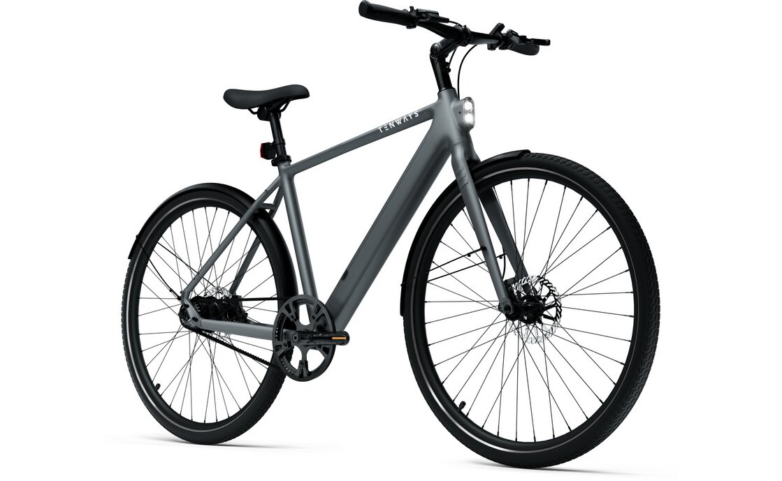 TENWAYS CGO600 Pro - 360 Wh - 28 Zoll - Diamant - 2026