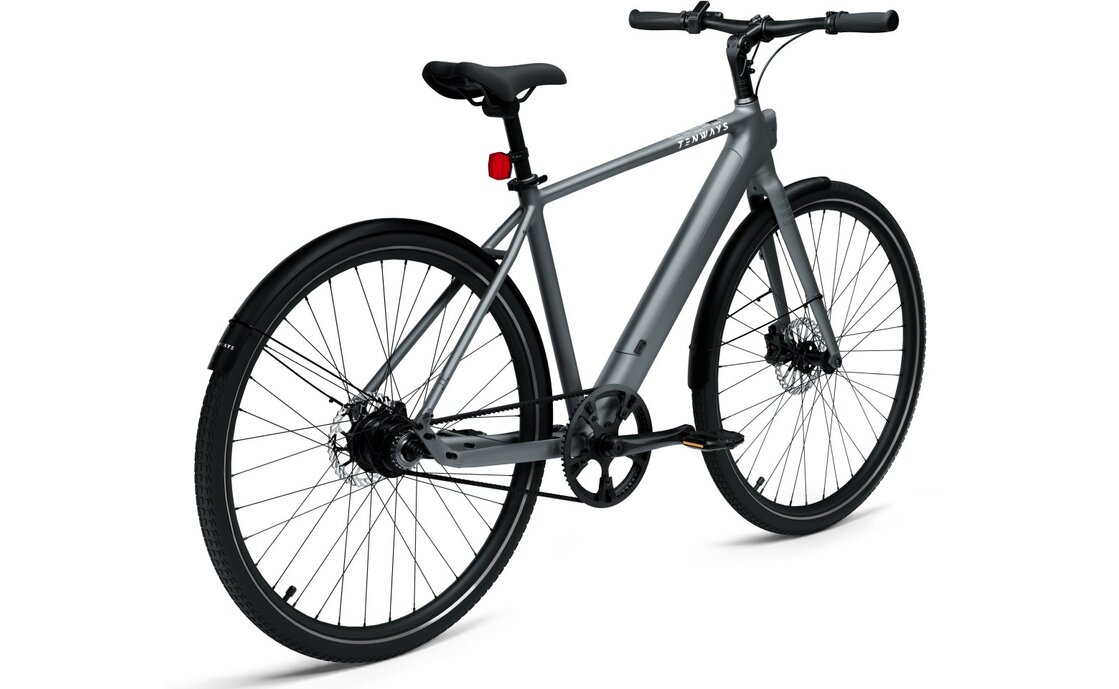 TENWAYS CGO600 Pro - 360 Wh - 28 Zoll - Diamant - 2026