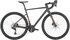 mastaphora grey