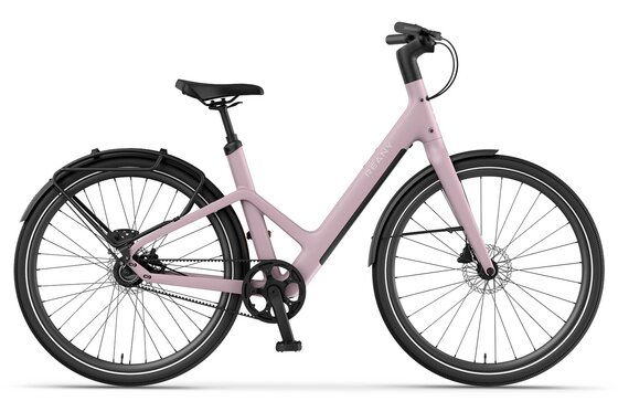 Tiefeinsteiger - E-Bike-Pedelec - REANY W1 GT - 360 Wh - 28 Zoll - Tiefeinsteiger - 2026