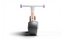 WOOM WOW - 12 Zoll - 2025