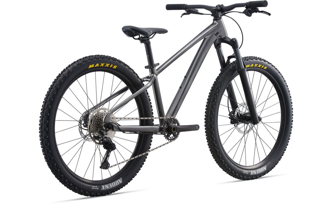 Giant STP 26 - 26 Zoll - Diamant - 2025