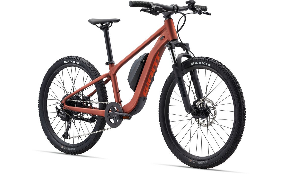 Giant Talon E+ jr. 24 - 250 Wh - 24 Zoll - Diamant