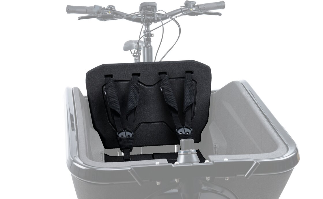 Cube Sicherheitsgurt CARGO