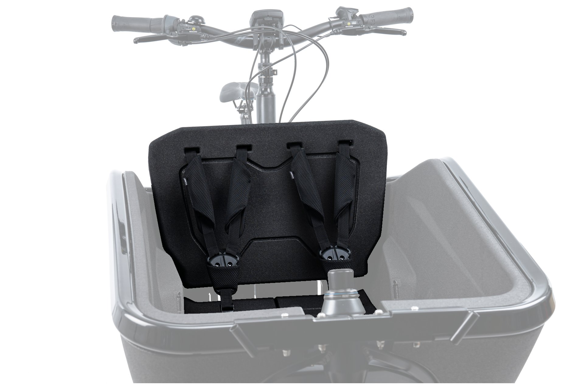 Cube Sicherheitsgurt CARGO