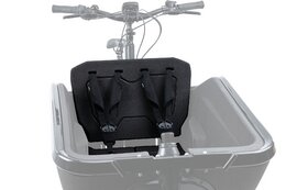 Cube Sicherheitsgurt CARGO