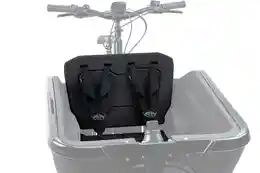 Cube Sicherheitsgurt CARGO