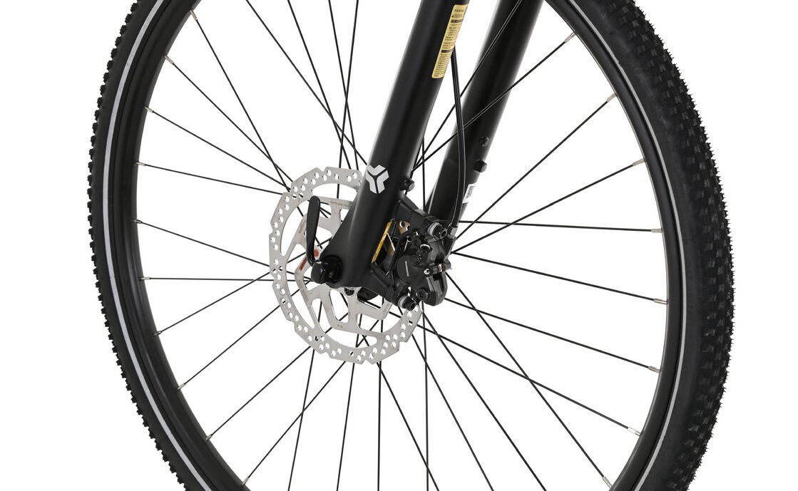 Carver Cinos 140 - 28 Zoll - Damen Sport - 2024