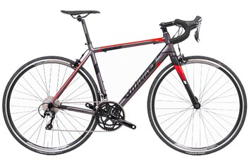 Felgenbremse - Rennräder - Wilier Montegrappa - Tiagra - 2021 - 28 Zoll - Diamant