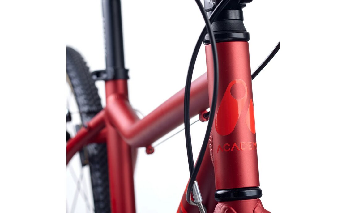 Academy Grade 5 - 24 Zoll - Diamant - 2026