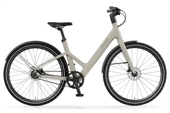 E-Bike City - REANY W1 Pro - 360 Wh - 28 Zoll - Tiefeinsteiger - 2026