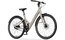 REANY W1 Pro - 360 Wh - 28 Zoll - Tiefeinsteiger - 2026