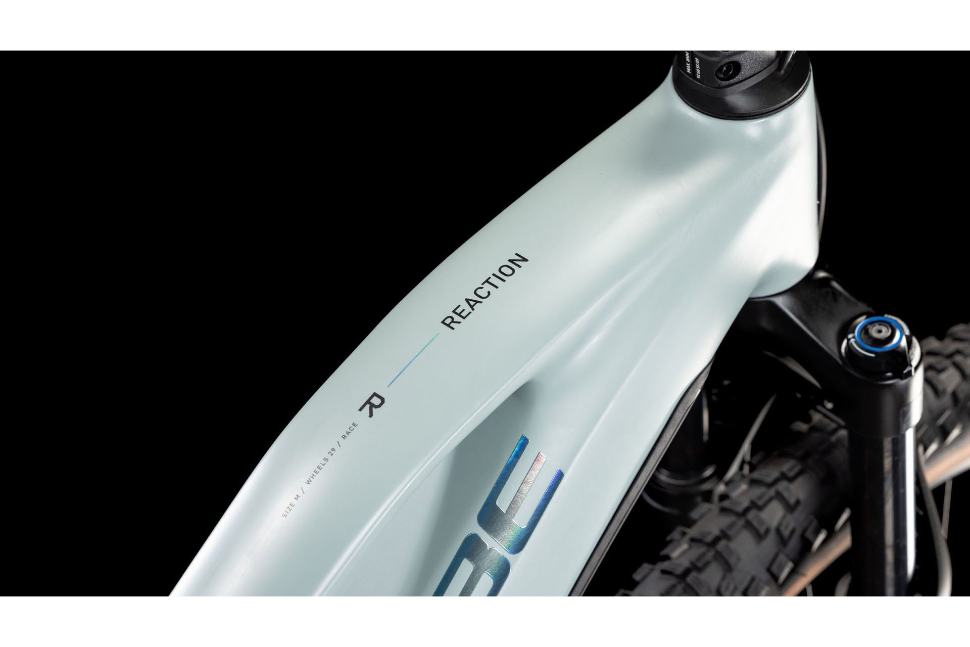 Cube Reaction Hybrid Race 800 - 800 Wh - 29 Zoll - Damen Sport