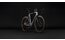 Cube Cross Race C:62 Pro - 28 Zoll - Diamant - 2027