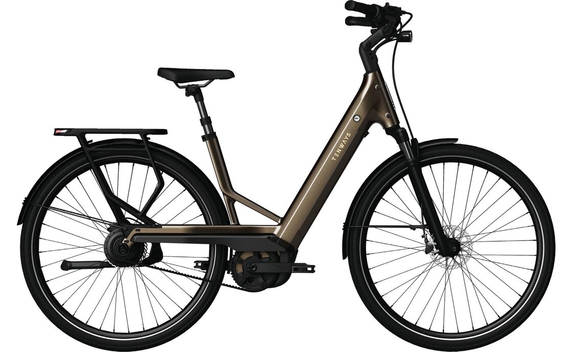 Tenways AGO Performance - 540 Wh - 29 Zoll - Tiefeinsteiger - 2026
