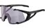 Alpina Hawkeye Q-Lite V black matt / Varioflex purple mirror lens