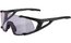 Alpina Hawkeye S Q-Lite V black matt / Varioflex purple mirror lens