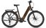 Kalkhoff Endeavour 5 Advance + - 625 Wh - 29 Zoll - Tiefeinsteiger - 2025