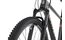Carver Strict 170 - B-Ware - 29 Zoll - Diamant - 2024