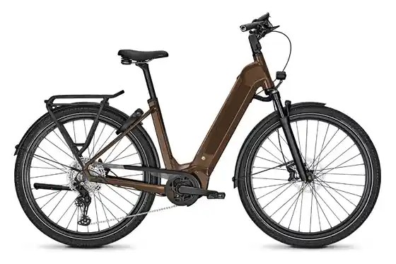 Kettenschaltung - E-Bike-Pedelec - Kalkhoff Endeavour 5 Advance + - 625 Wh - 29 Zoll - Tiefeinsteiger