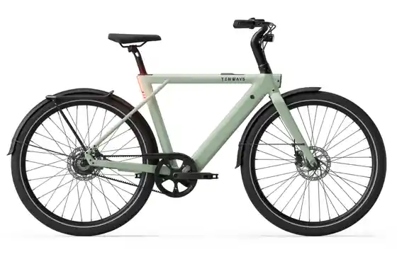 SUV E-Bike - Tenways CGO009 - Special Edition - 374 Wh - 29 Zoll - Diamant - 2026