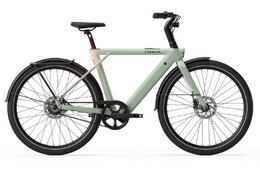 Tenways CGO009 - Special Edition - 374 Wh - 29 Zoll - Diamant - 2026