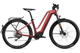 Flyer G2 Goroc2 6.30 HS EU - 750 Wh - 29 Zoll - Tiefeinsteiger