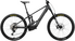 carbon raw (matt) - titanium