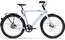 Tenways CGO009 - Special Edition - 374 Wh - 29 Zoll - Diamant - 2026