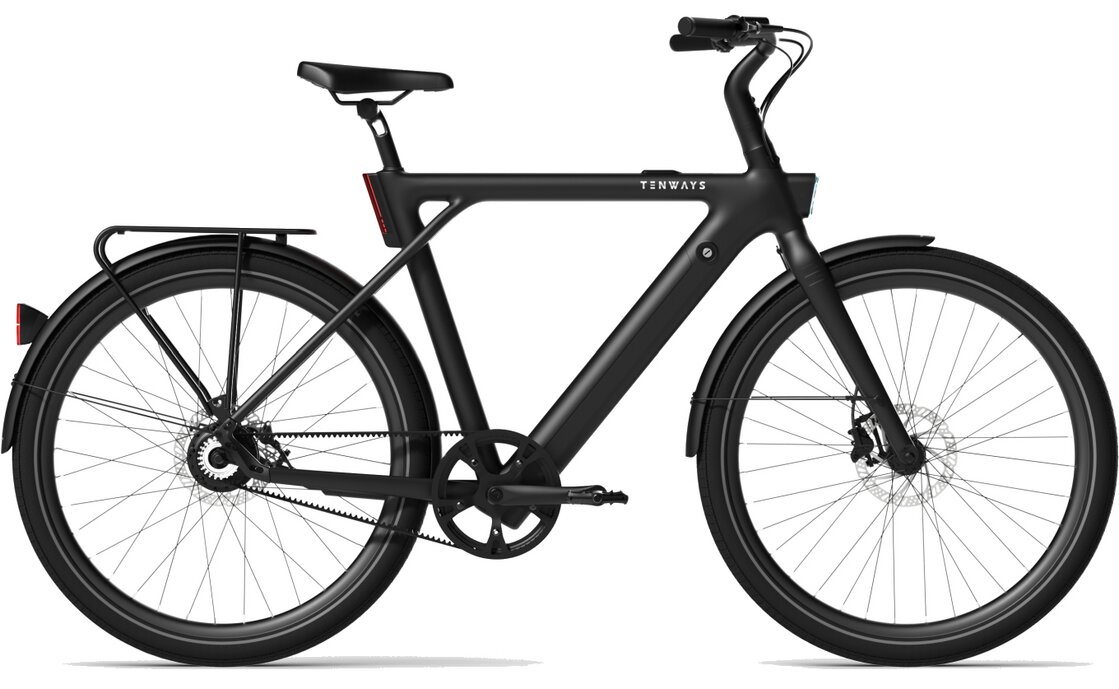 TENWAYS CGO009 - Special Edition - 374 Wh - 29 Zoll - Diamant - 2026