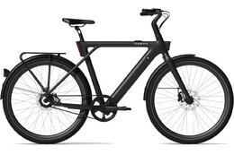 TENWAYS CGO009 - Special Edition - 374 Wh - 29 Zoll - Diamant - 2026