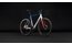 Cube Cross Race C:68X TE - 28 Zoll - Diamant - 2027