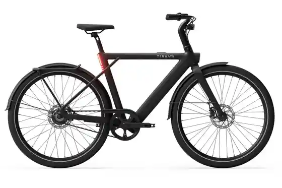 Urban E-Bikes - Tenways CGO009 - Special Edition - 374 Wh - 29 Zoll - Diamant - 2026