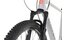 Carver Strict 160 - B-Ware - 29 Zoll - Diamant - 2024