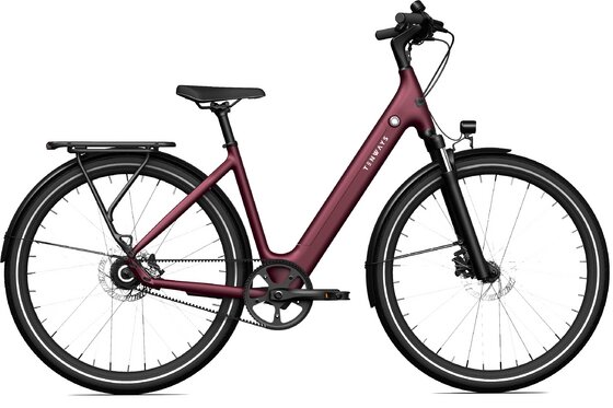 Aktionen - TENWAYS CGO800S - 475 Wh - 28 Zoll - Tiefeinsteiger - 2026