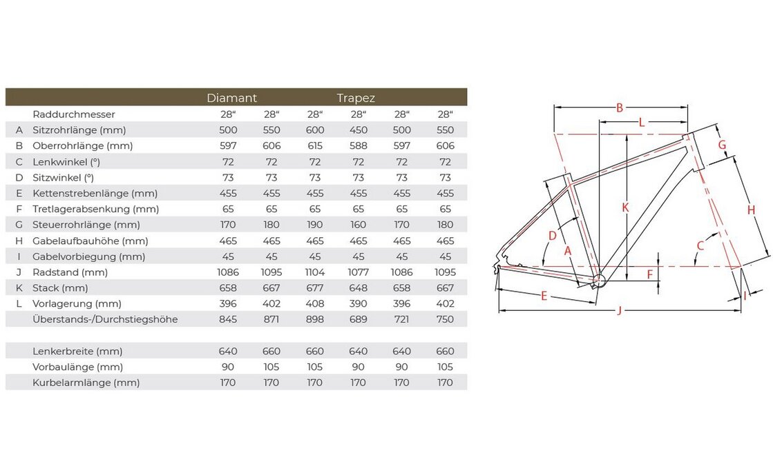 Raleigh Rushhour 1.0 - 28 Zoll - Diamant - Aktion