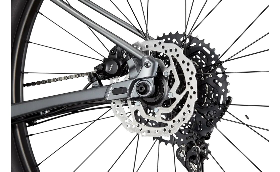 Cannondale Trail SL 4 - 29 Zoll - Diamant