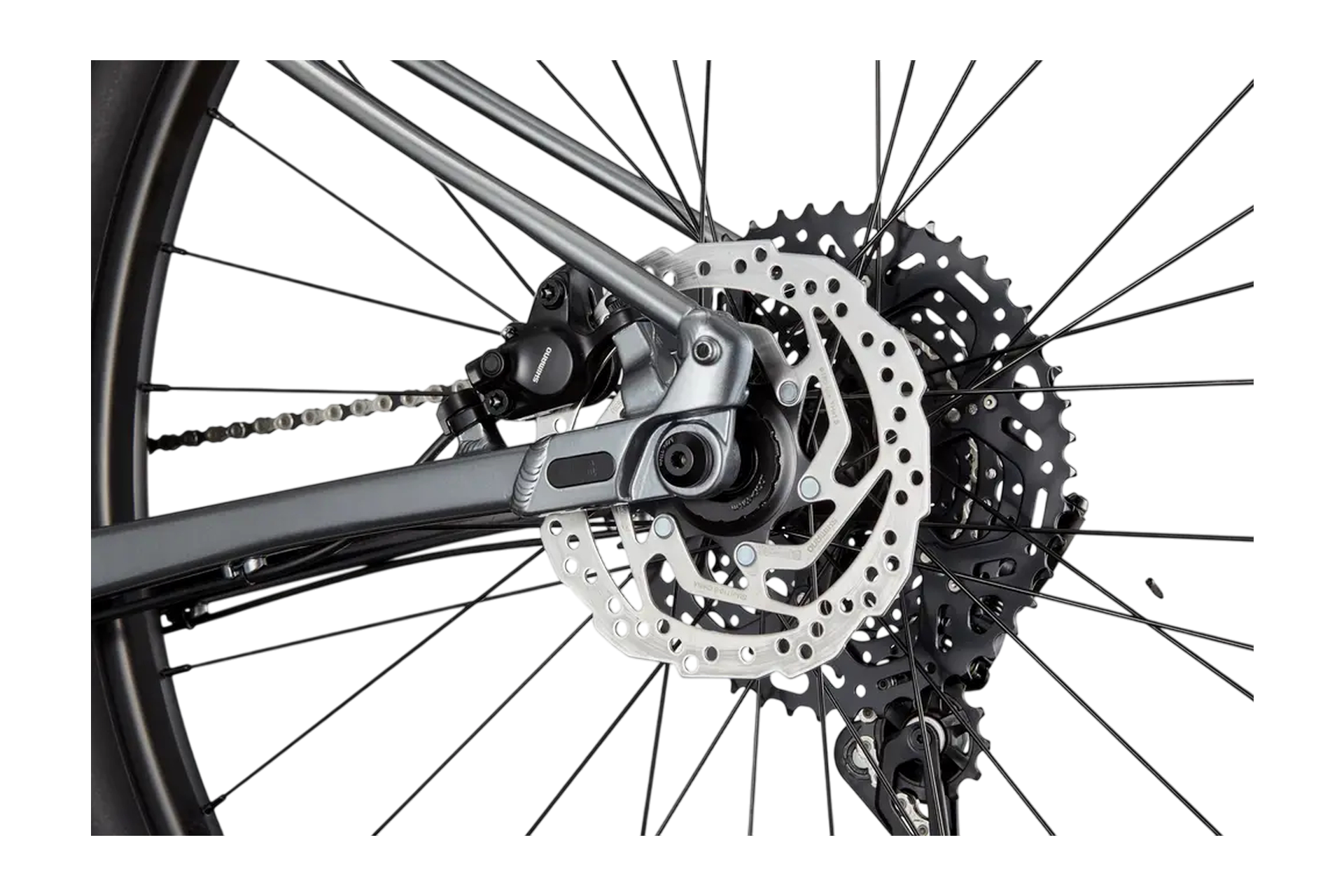 Cannondale Trail SL 4 - 29 Zoll - Diamant