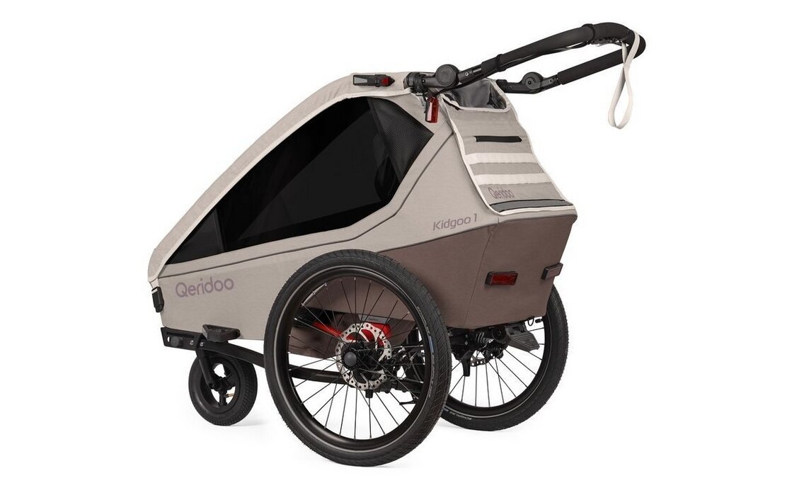 Qeridoo Kidgoo 1 Pro