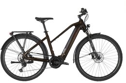 Carver Route E.530 - B-Ware - 625 Wh - 28 Zoll - Trapez