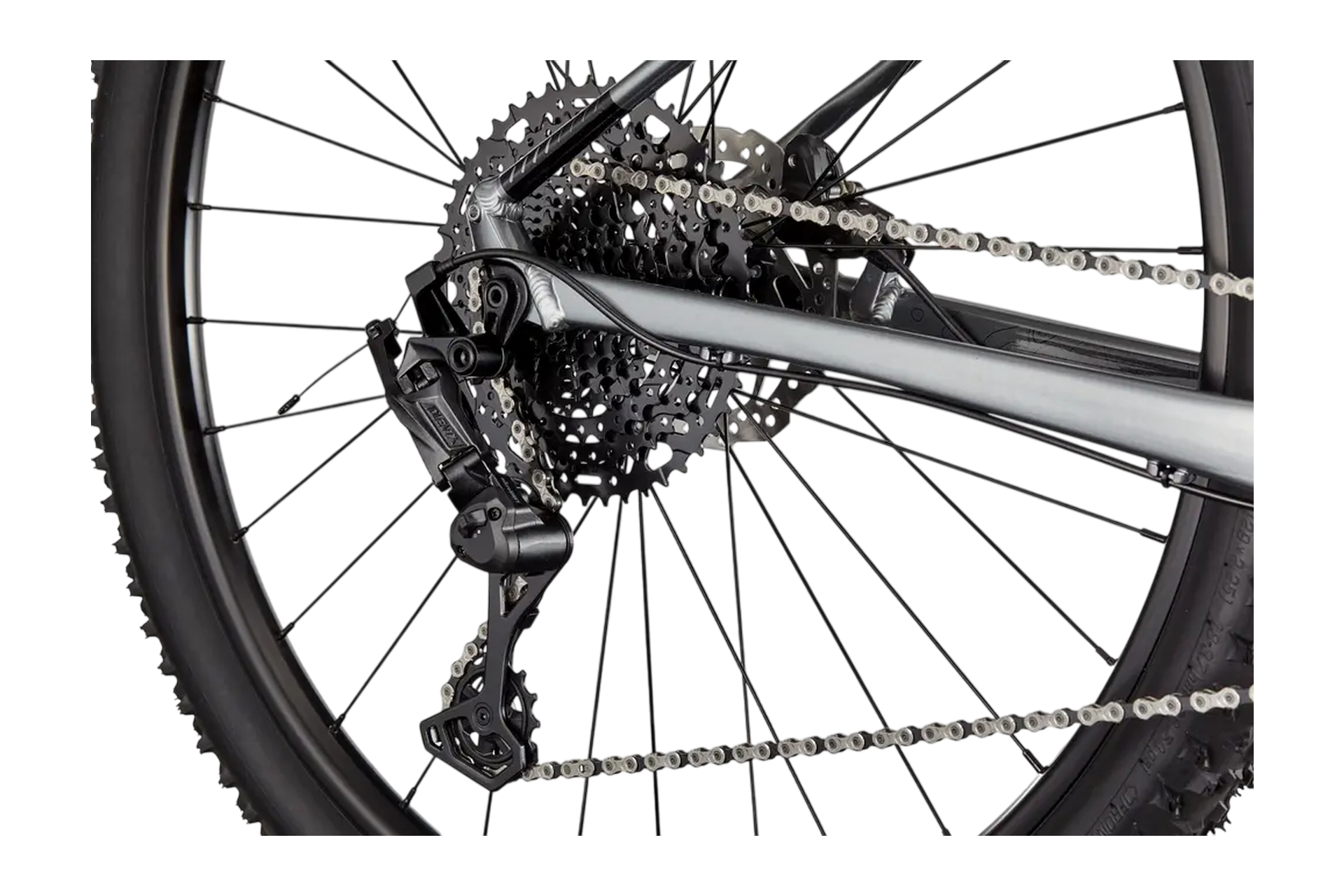 Cannondale Trail SL 4 - 29 Zoll - Diamant