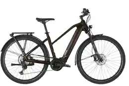 Carver Route E.530 - B-Ware - 625 Wh - 28 Zoll - Trapez