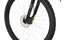Carver Strict 120 - B-Ware - 29 Zoll - Diamant - 2024
