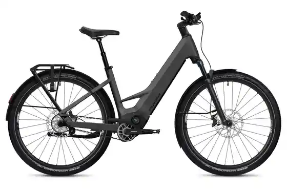 Schwarz - E-Bike-Pedelec - Flyer Goroc TR 7.33 - 800 Wh - 29 Zoll - Tiefeinsteiger