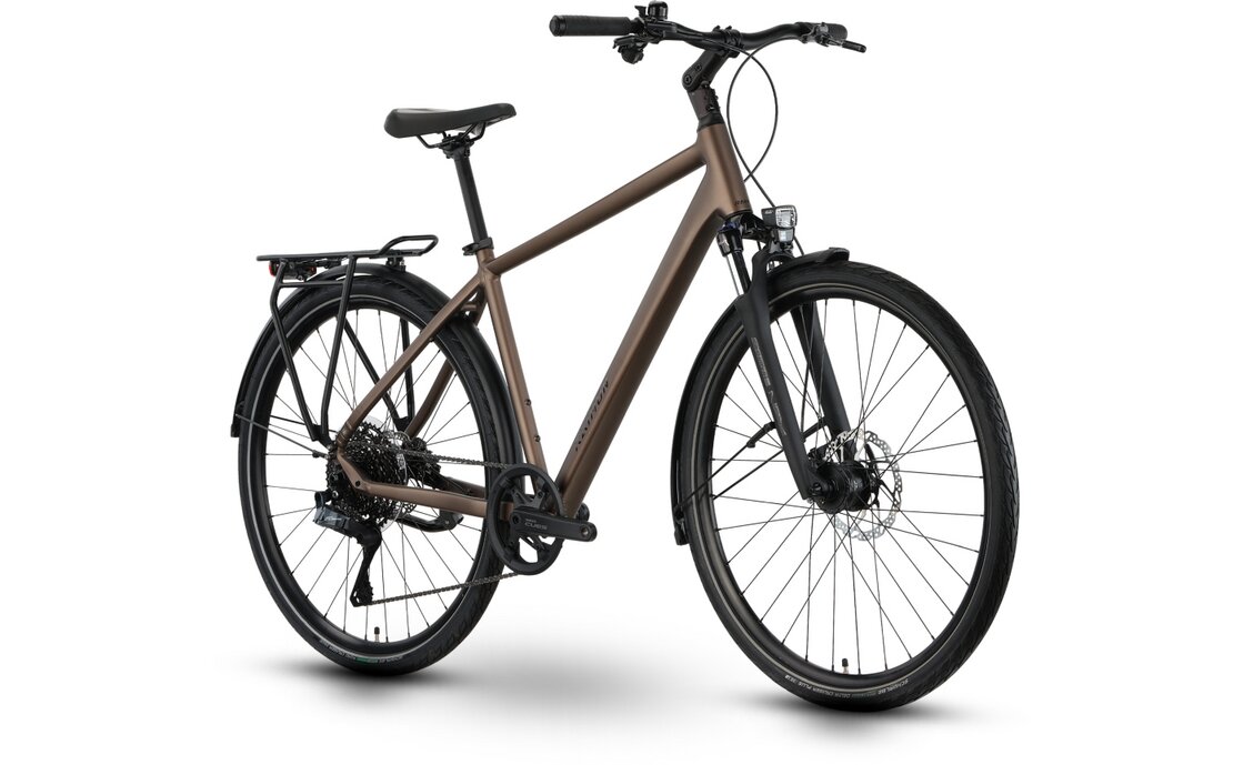 Raymon Zayn Auto - 28 Zoll - Diamant - 2026