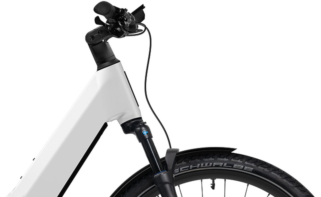 Flyer Goroc TR 7.33 - 800 Wh - 29 Zoll - Tiefeinsteiger - 2025